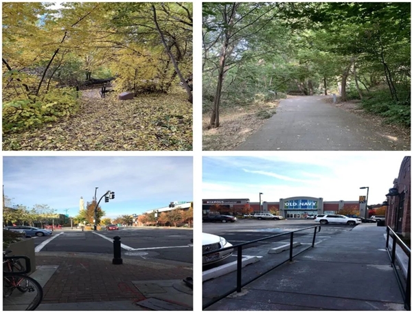 “野人饭”突然爆火！这届年轻人怎么了？