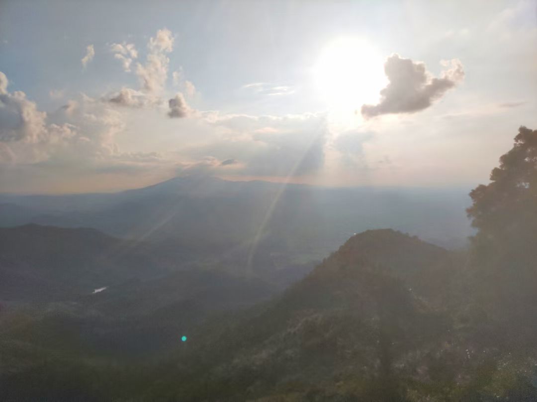 mmexport1733896220479.jpg mmexport1733896220479.jpg