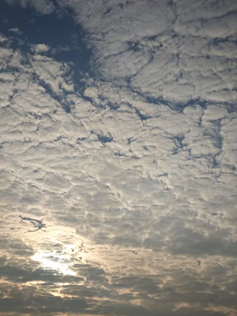 mmexport1734049482528.jpg mmexport1734049482528.jpg