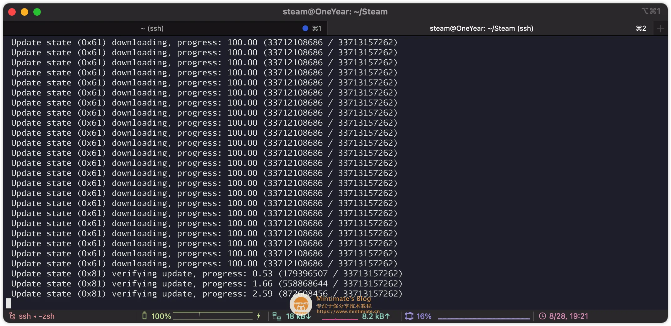 SteamCMD拉取CSGO中