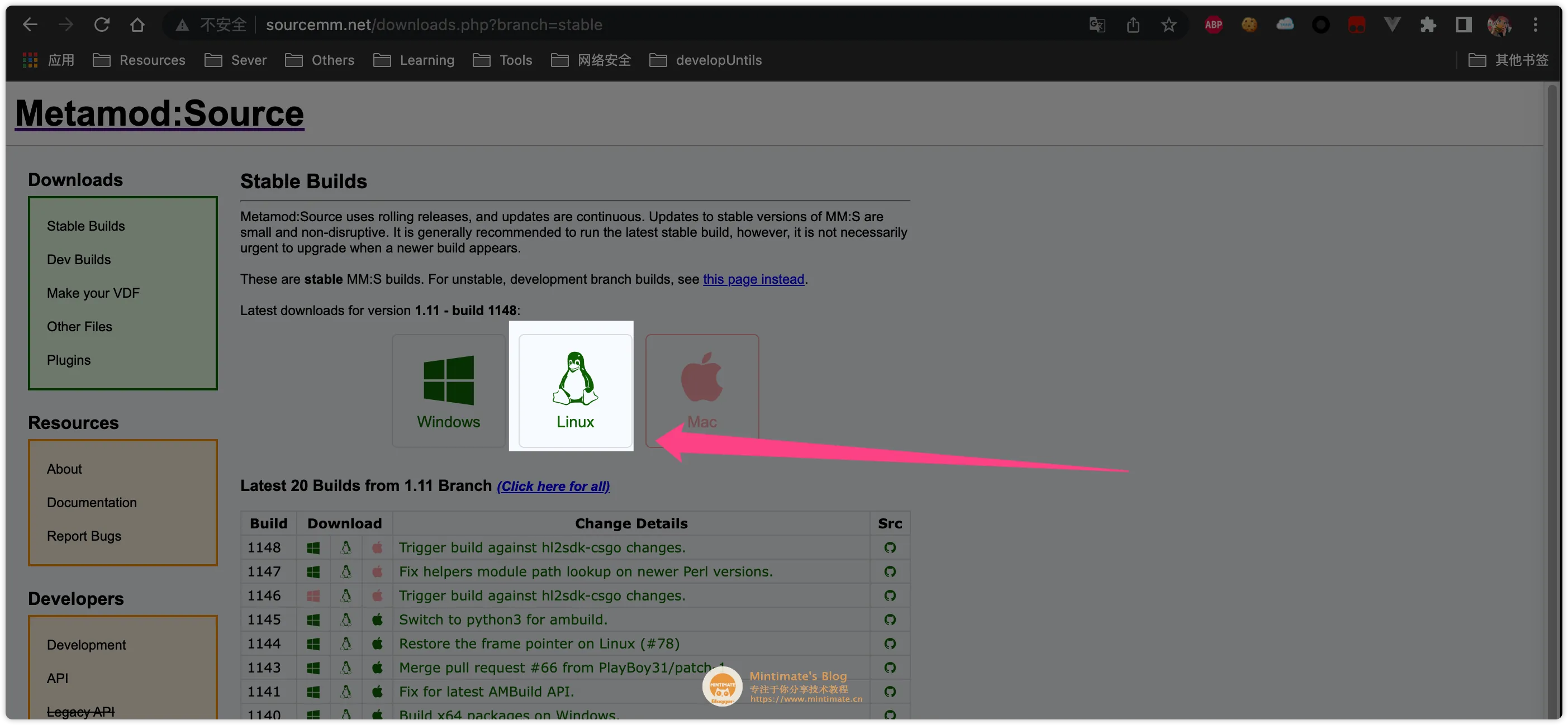 下载MetaMod到本地