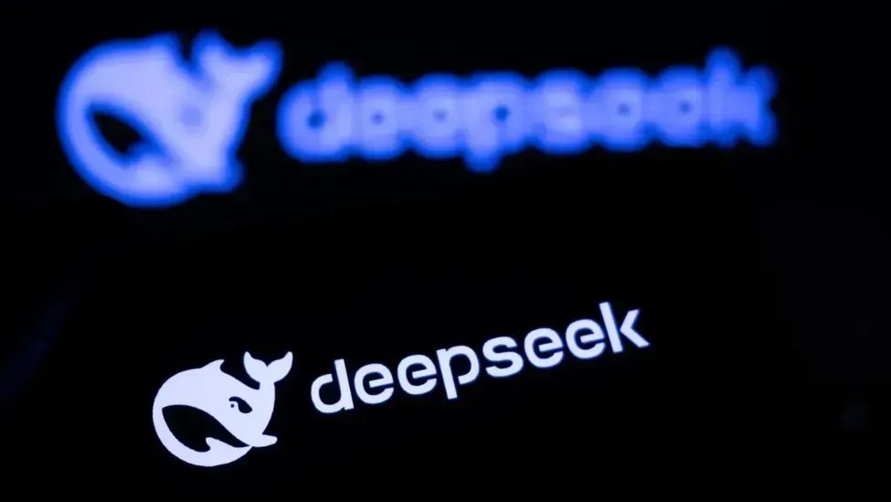 希望2025年，中国不再只有一个DeepSeek