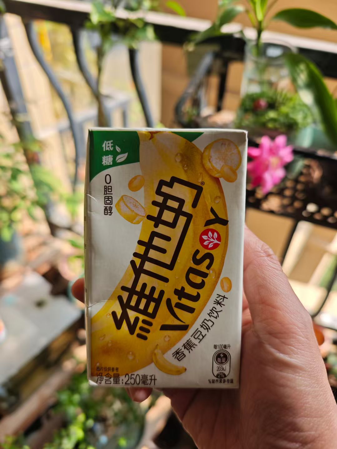 mmexport1739944351163.jpg mmexport1739944351163.jpg