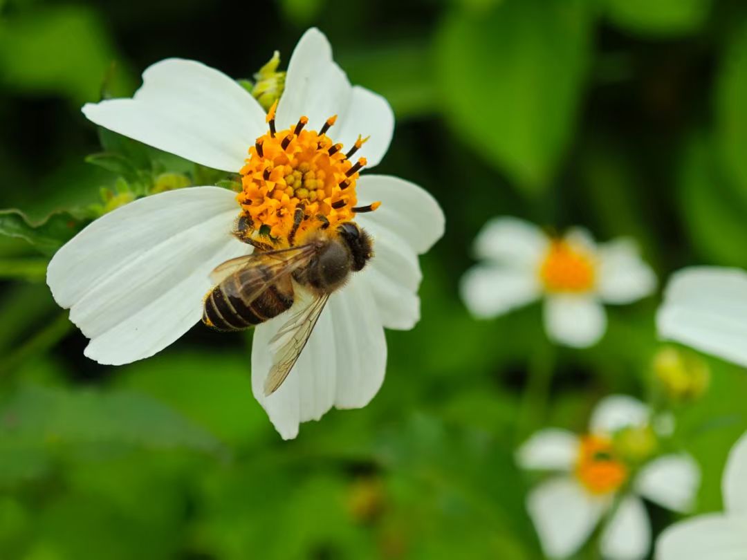 mmexport1739795661051.jpg mmexport1739795661051.jpg