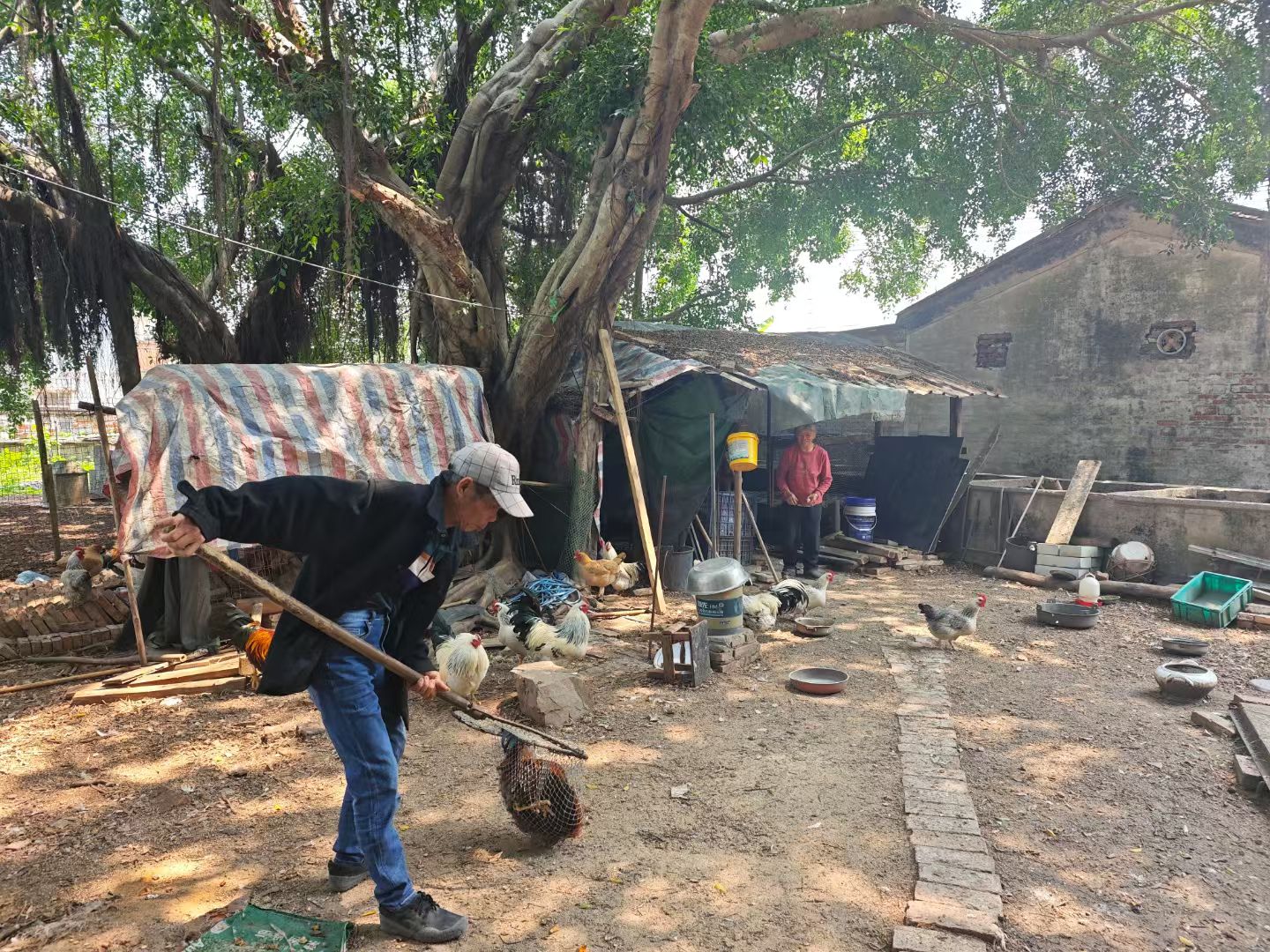 mmexport1742727643843.jpg mmexport1742727643843.jpg