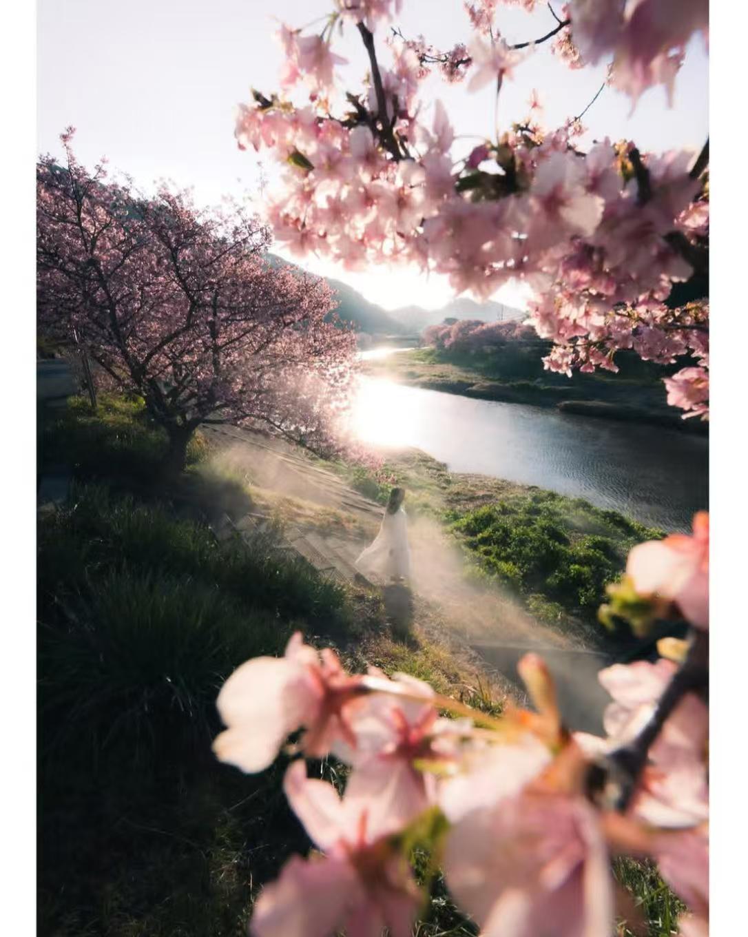 mmexport1741127253328.jpg mmexport1741127253328.jpg