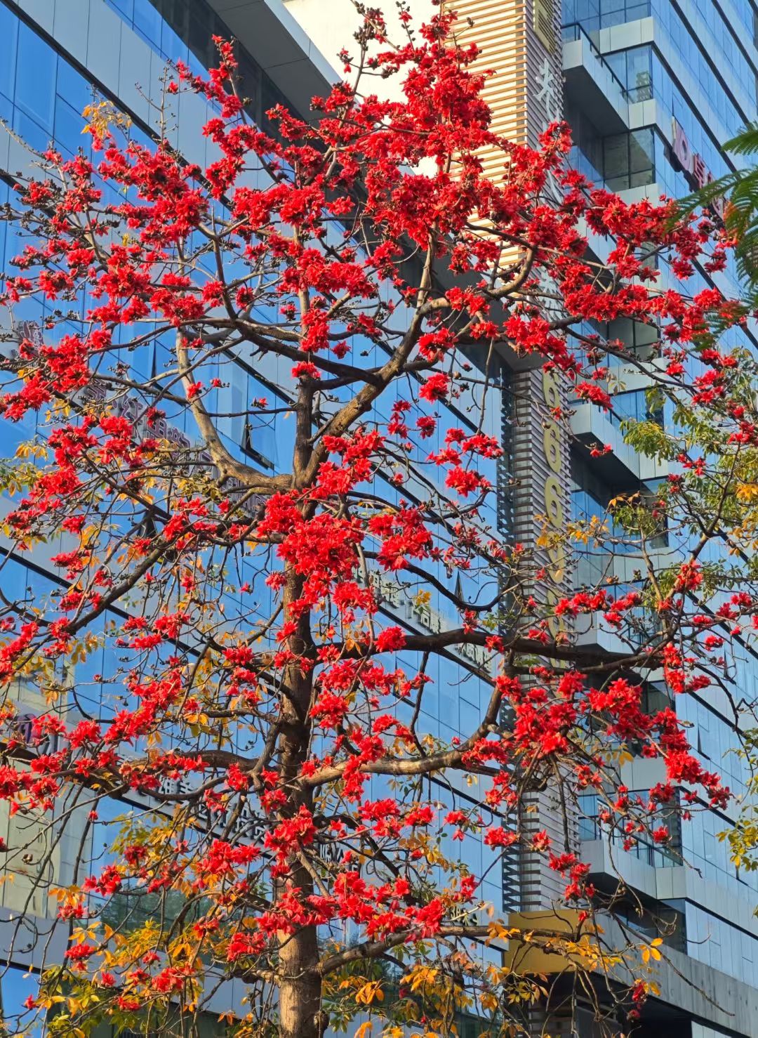 mmexport1742775013785.jpg mmexport1742775013785.jpg