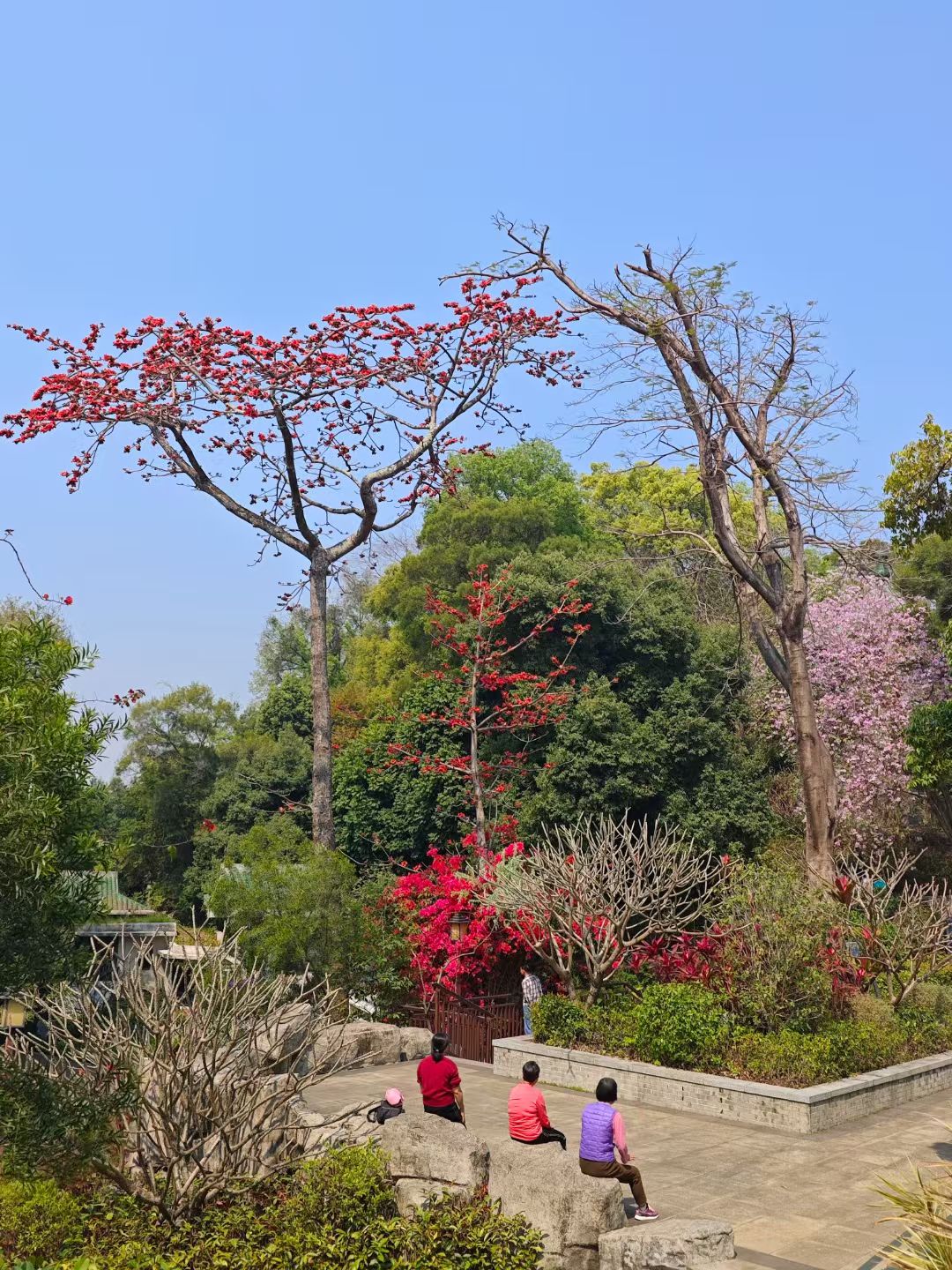 mmexport1742538057254.jpg mmexport1742538057254.jpg