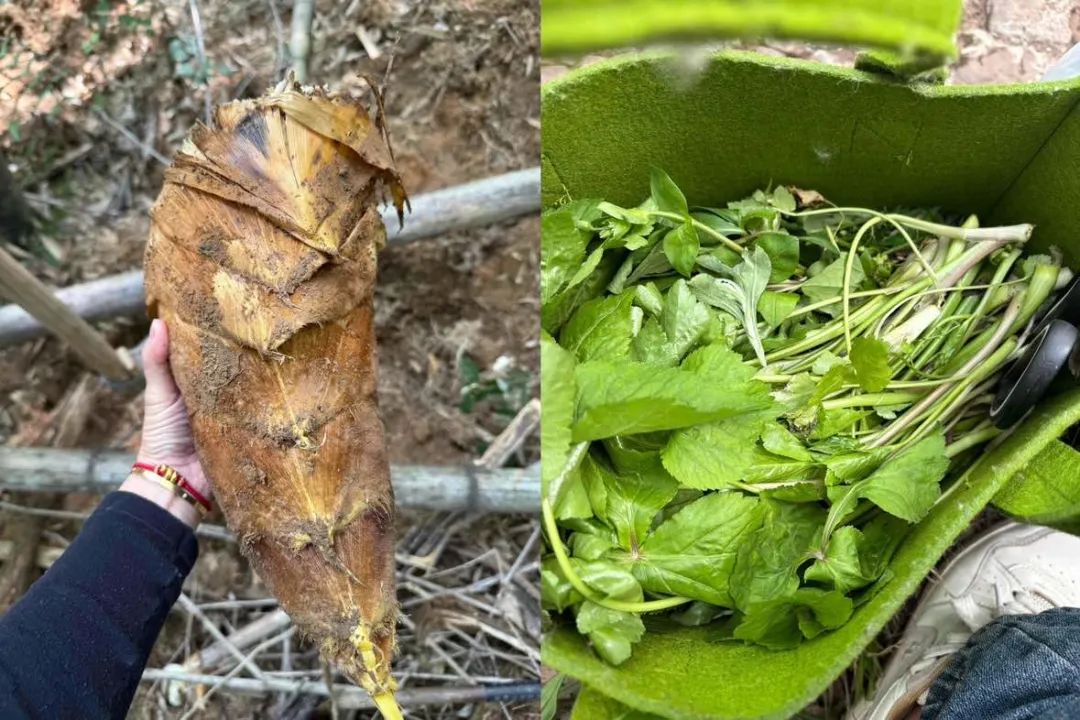 年轻人爱上“打野”：有人卖“神器”月入数万，有商家生意增长300%