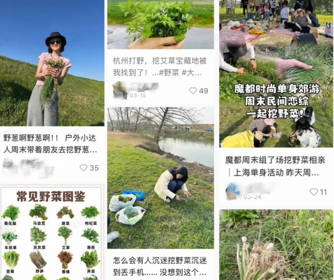 年轻人爱上“打野”：有人卖“神器”月入数万，有商家生意增长300%