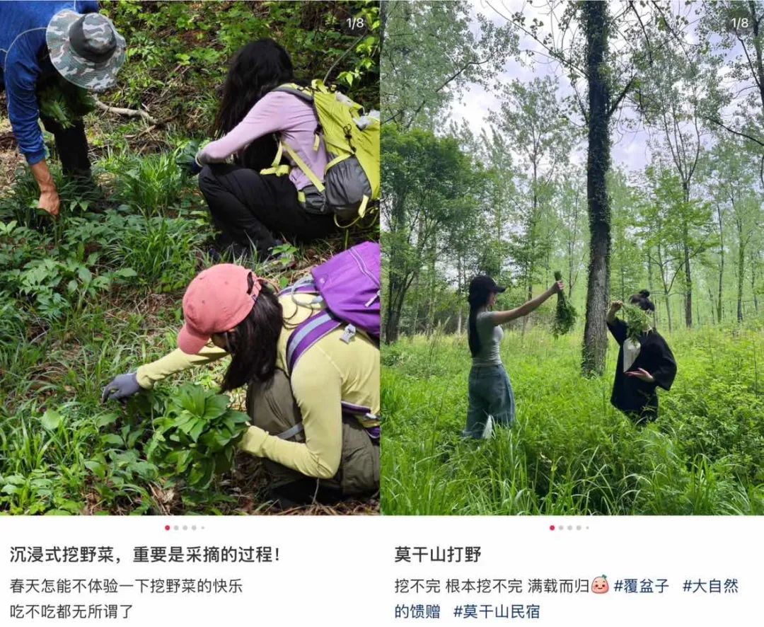 年轻人爱上“打野”：有人卖“神器”月入数万，有商家生意增长300%