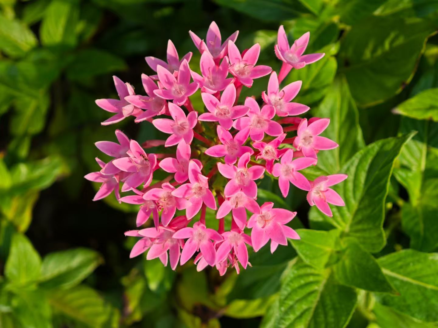 mmexport1743659234107.jpg mmexport1743659234107.jpg