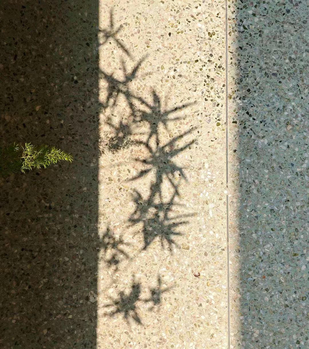 mmexport1743481136380.jpg mmexport1743481136380.jpg