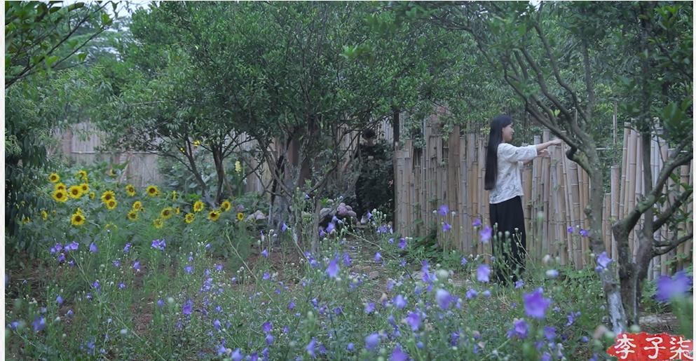 卷不动的年轻人,开始找个村子躺平了