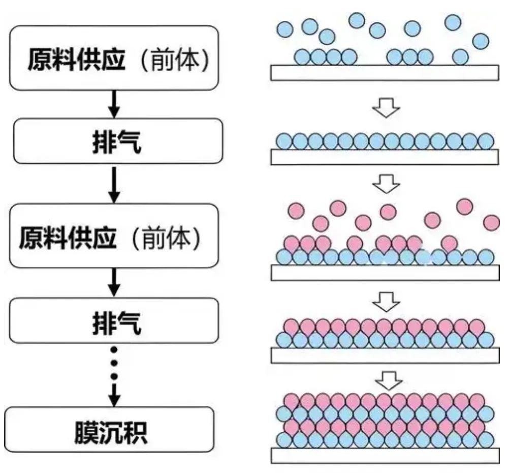 车企的“双面游戏”决定了驾驶舱内的生死
