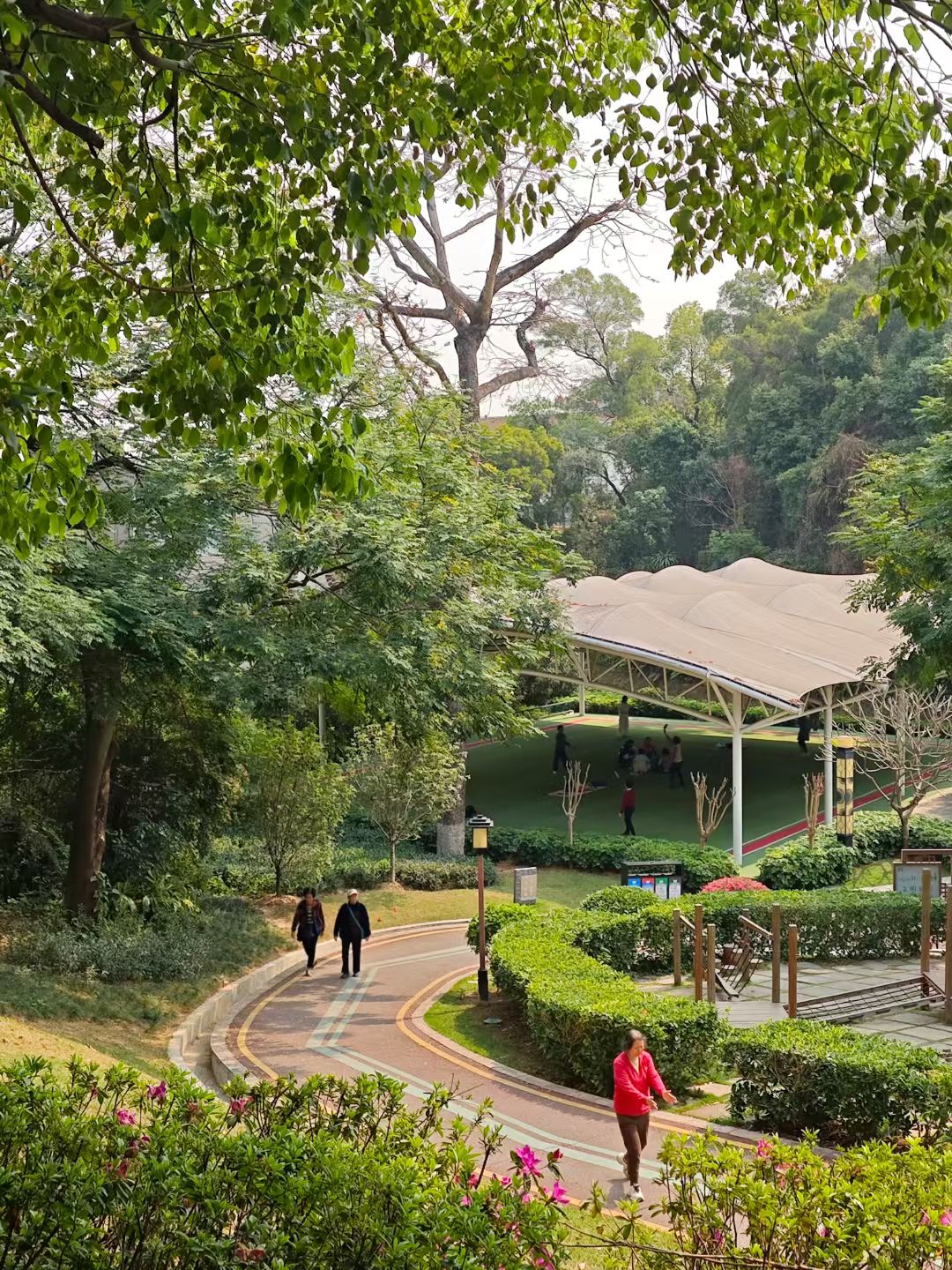 mmexport1743570069364.jpg mmexport1743570069364.jpg