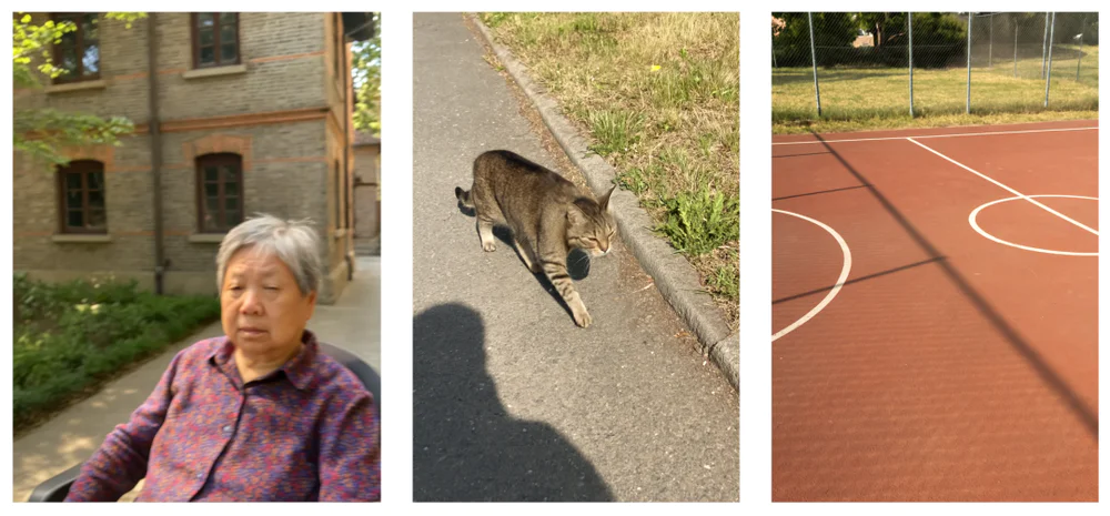 ChatGPT照片“以假乱真”，这是一份AI防骗指南