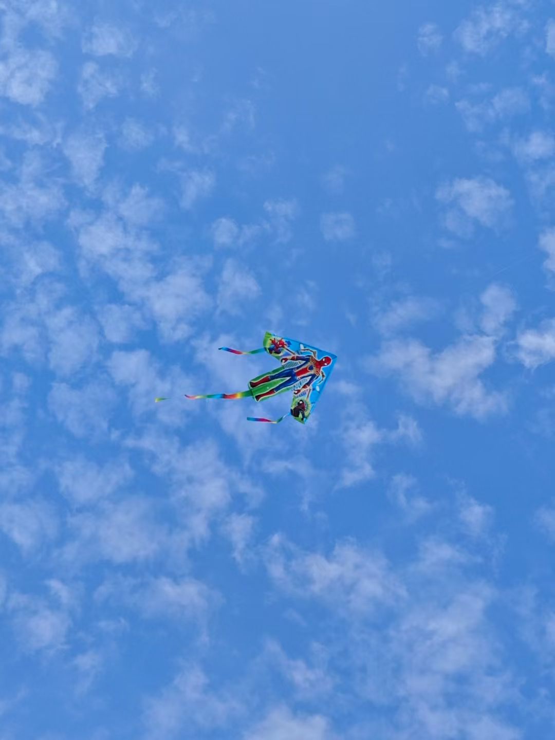 mmexport1745317735790.jpg mmexport1745317735790.jpg