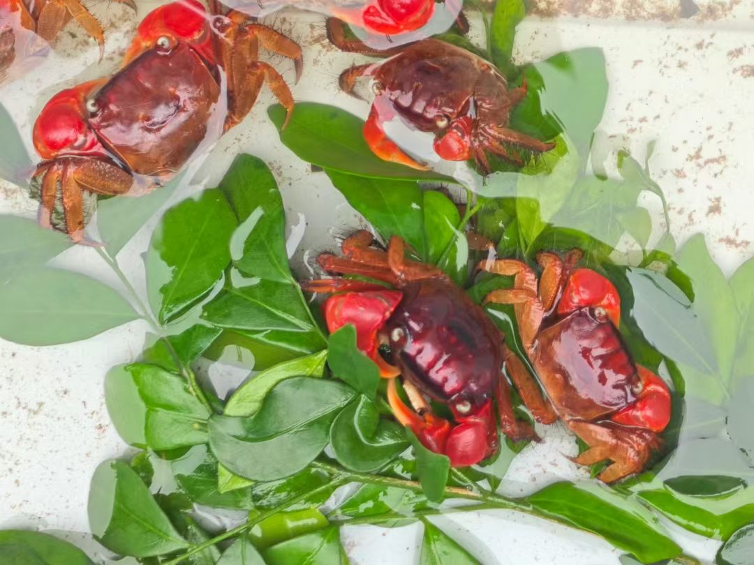 mmexport1744021634497.jpg mmexport1744021634497.jpg