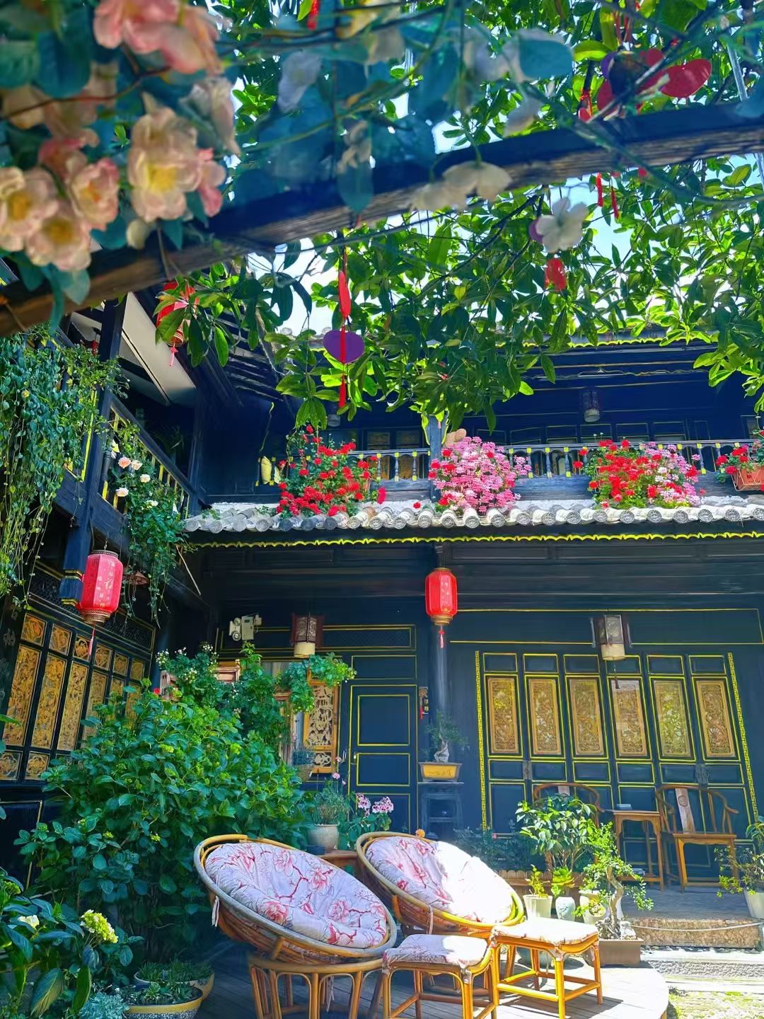 mmexport1747837153833.jpg mmexport1747837153833.jpg