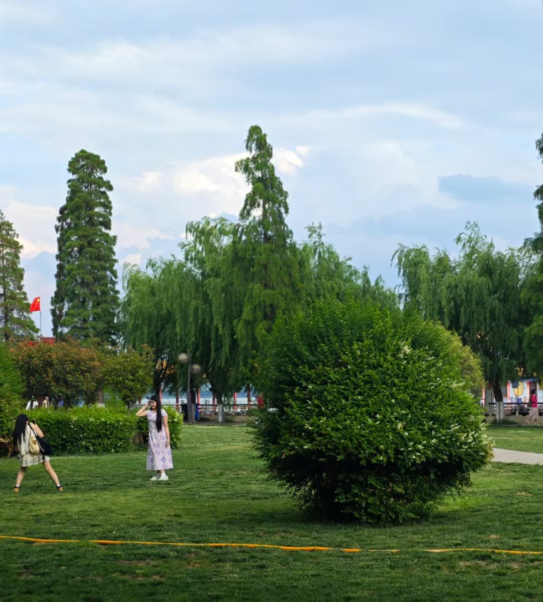 mmexport1747492056983.jpg mmexport1747492056983.jpg