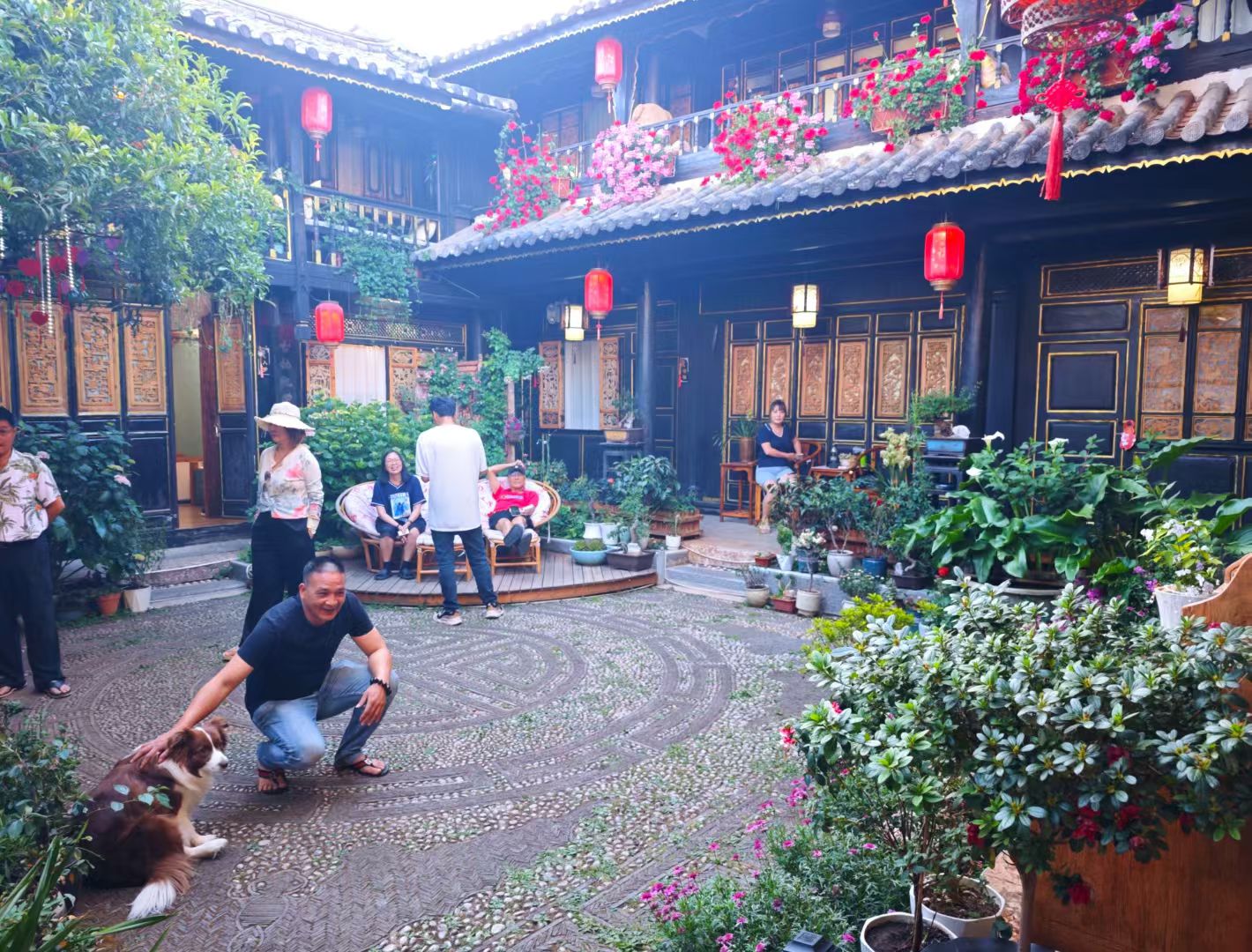 mmexport1747837141395.jpg mmexport1747837141395.jpg