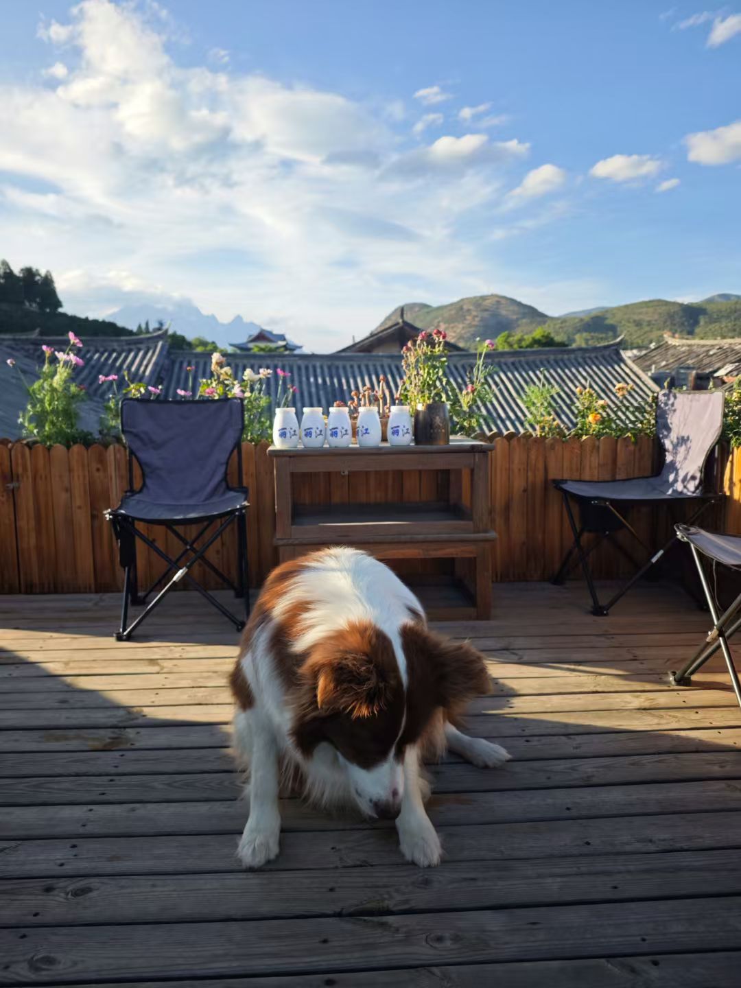 mmexport1747837149003.jpg mmexport1747837149003.jpg