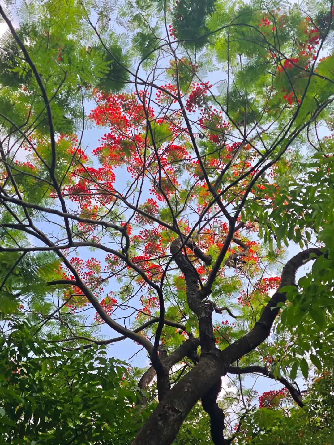 mmexport1747129578749.jpg mmexport1747129578749.jpg