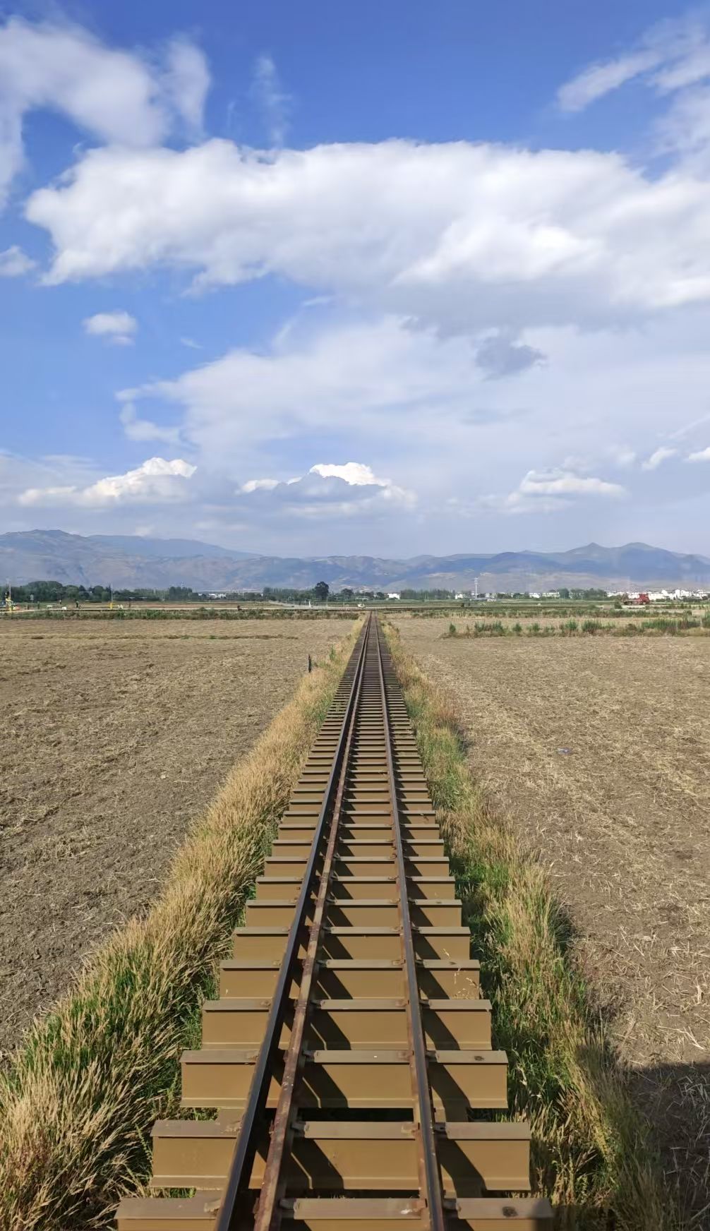 mmexport1748580584722.jpg mmexport1748580584722.jpg