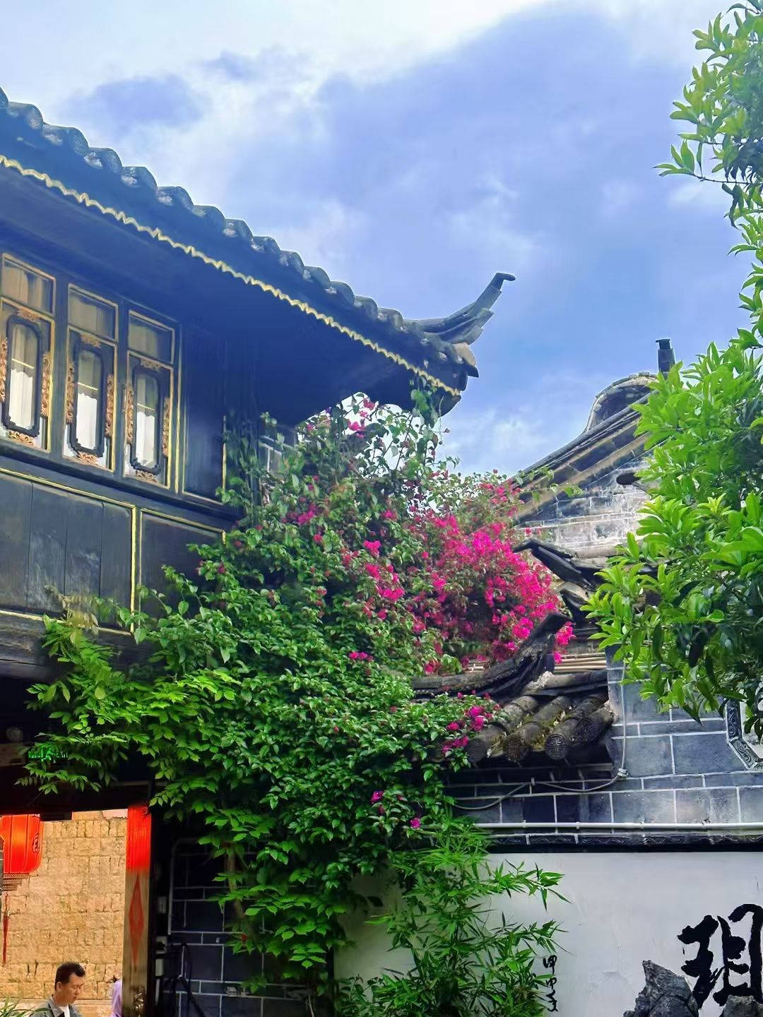 mmexport1747837143252.jpg mmexport1747837143252.jpg