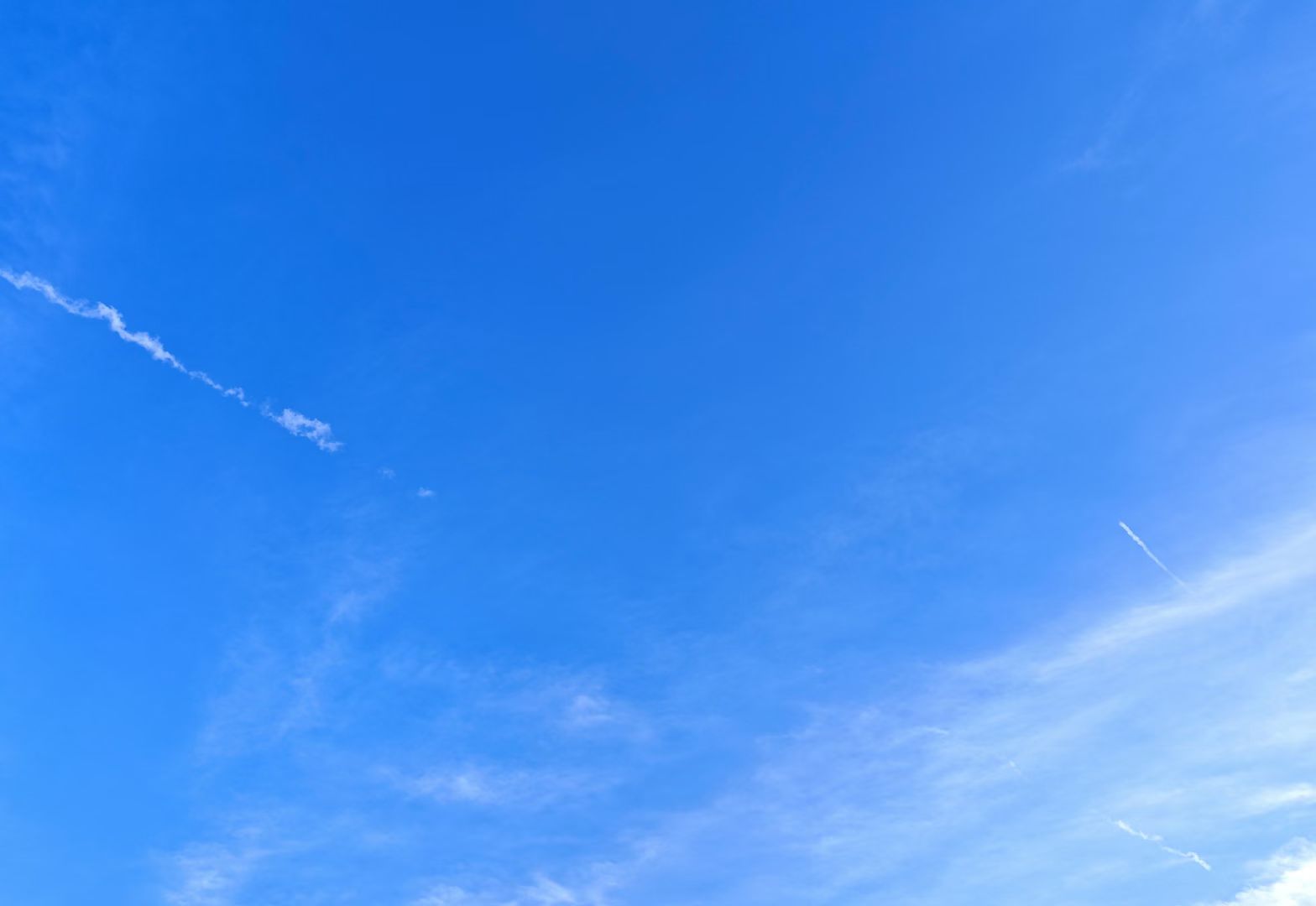 mmexport1747304947971.jpg mmexport1747304947971.jpg