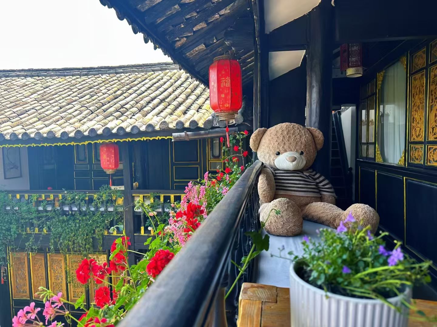 mmexport1747837151470.jpg mmexport1747837151470.jpg