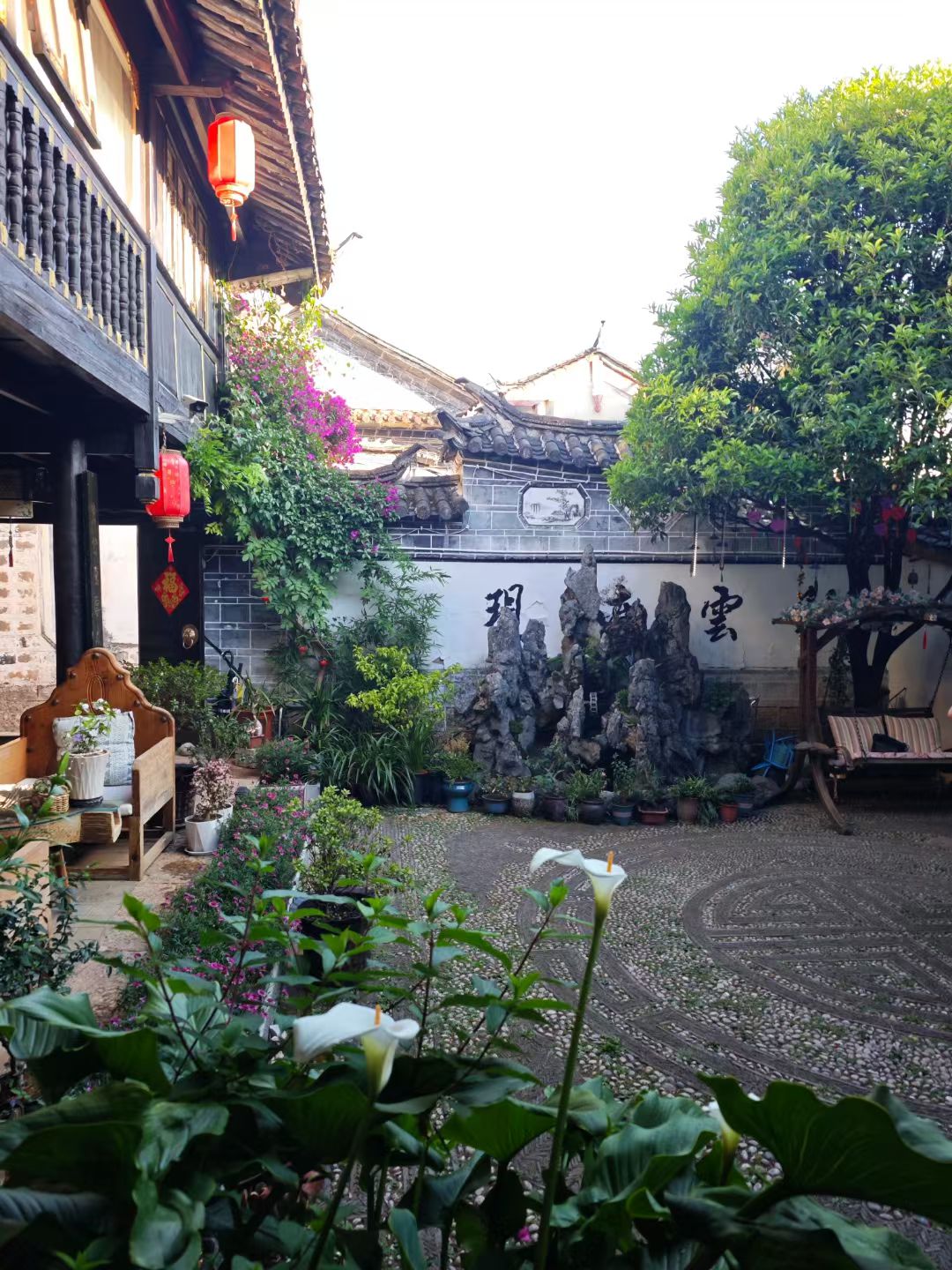 mmexport1747837158201.jpg mmexport1747837158201.jpg