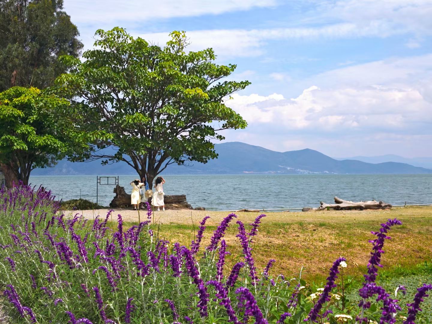 mmexport1748614047061.jpg mmexport1748614047061.jpg