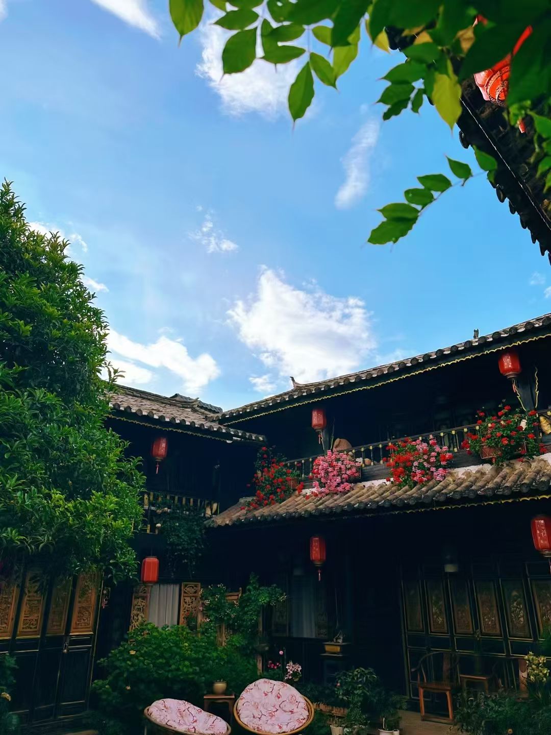 mmexport1747837145562.jpg mmexport1747837145562.jpg