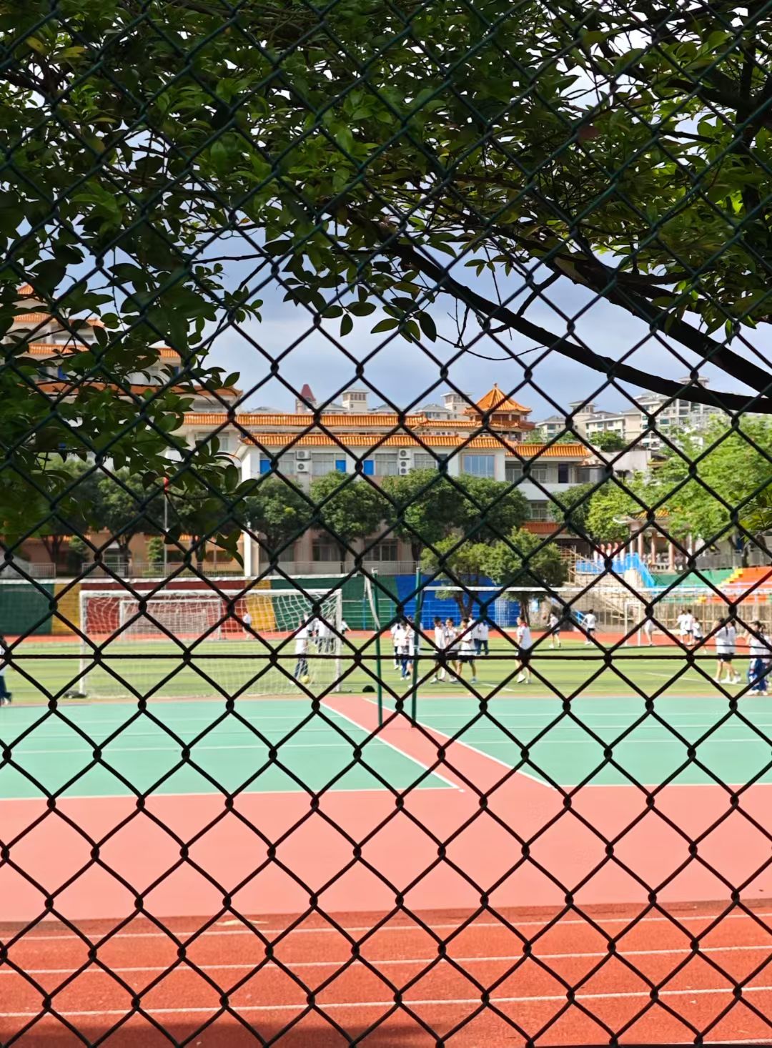 mmexport1749873904419.jpg mmexport1749873904419.jpg