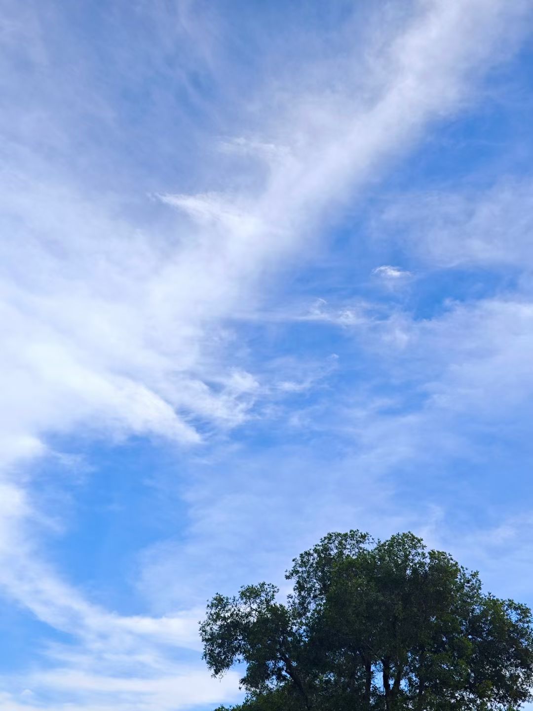 mmexport1750415234387.jpg mmexport1750415234387.jpg