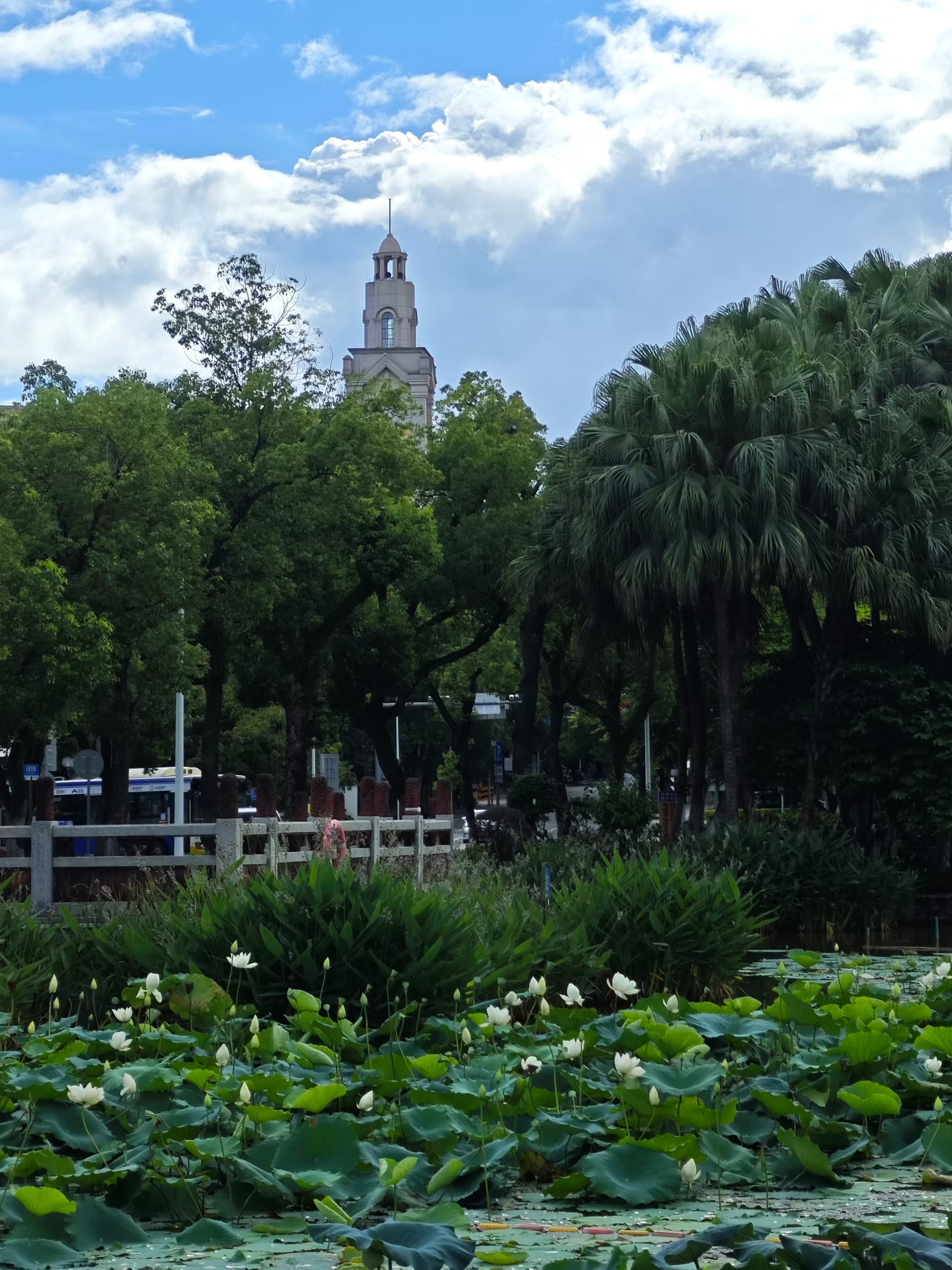 mmexport1750482375912.jpg mmexport1750482375912.jpg