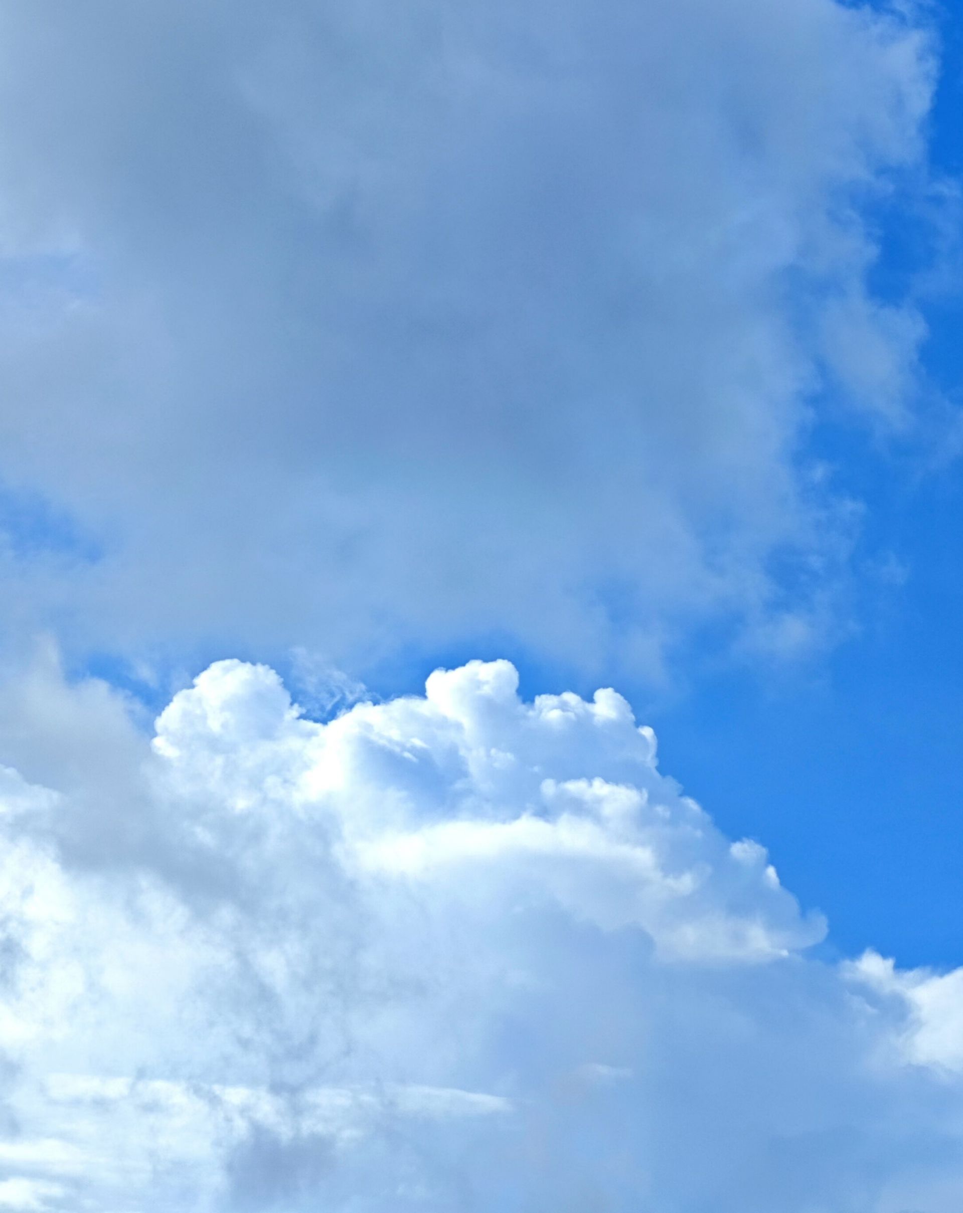 mmexport1751287268889.jpg mmexport1751287268889.jpg