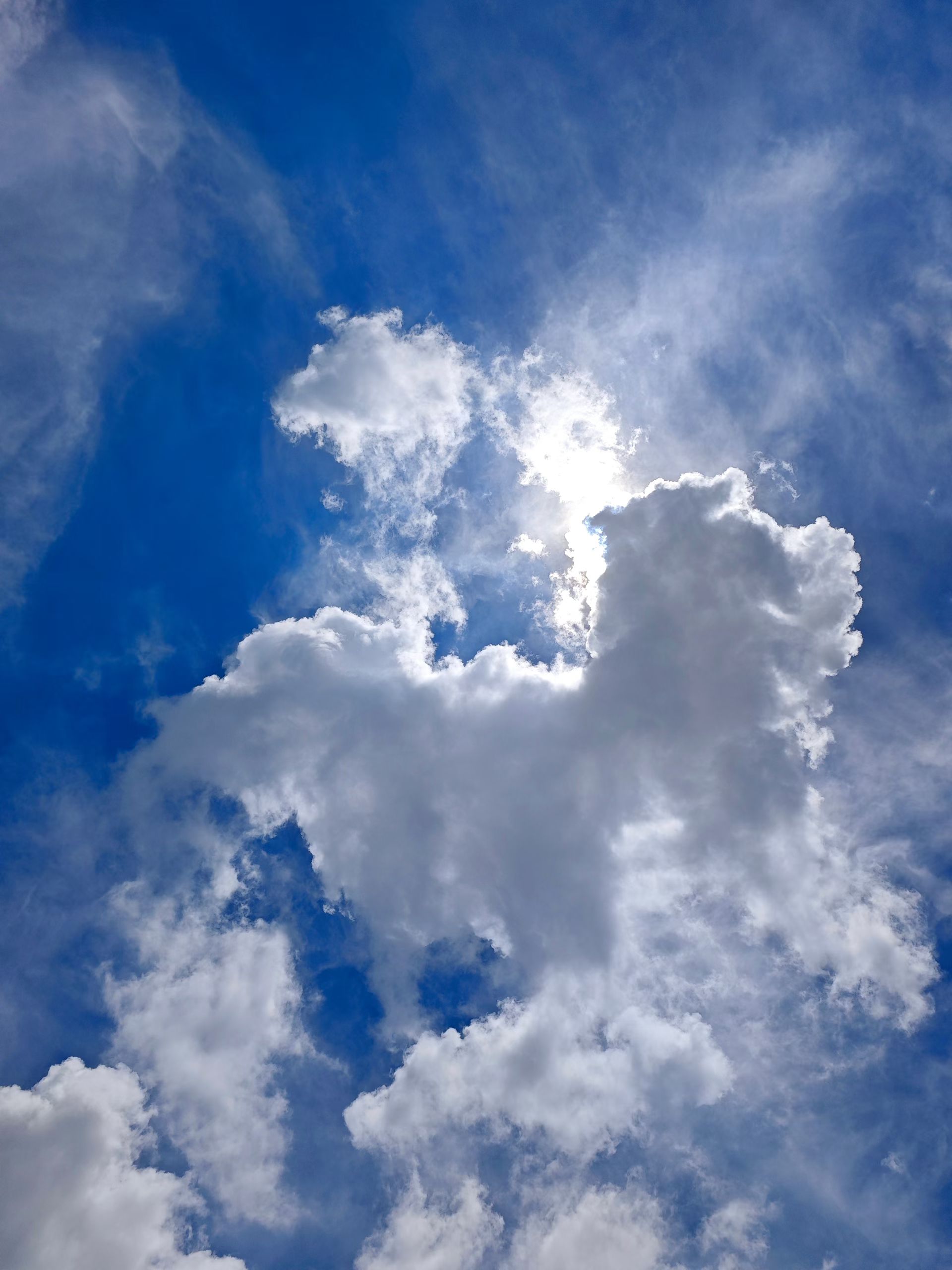 mmexport1751345532296.jpg mmexport1751345532296.jpg