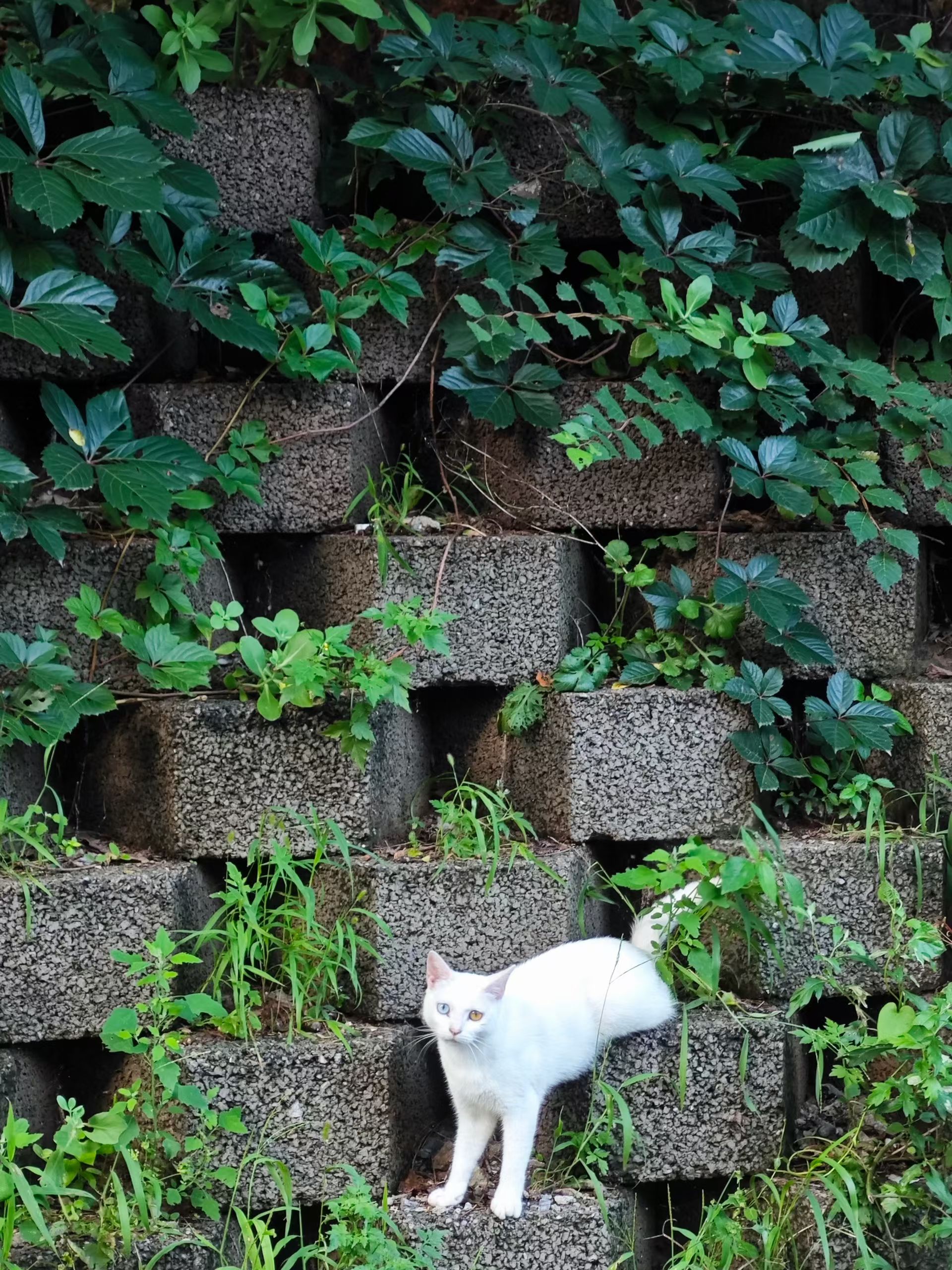 mmexport1754907422537.jpg mmexport1754907422537.jpg