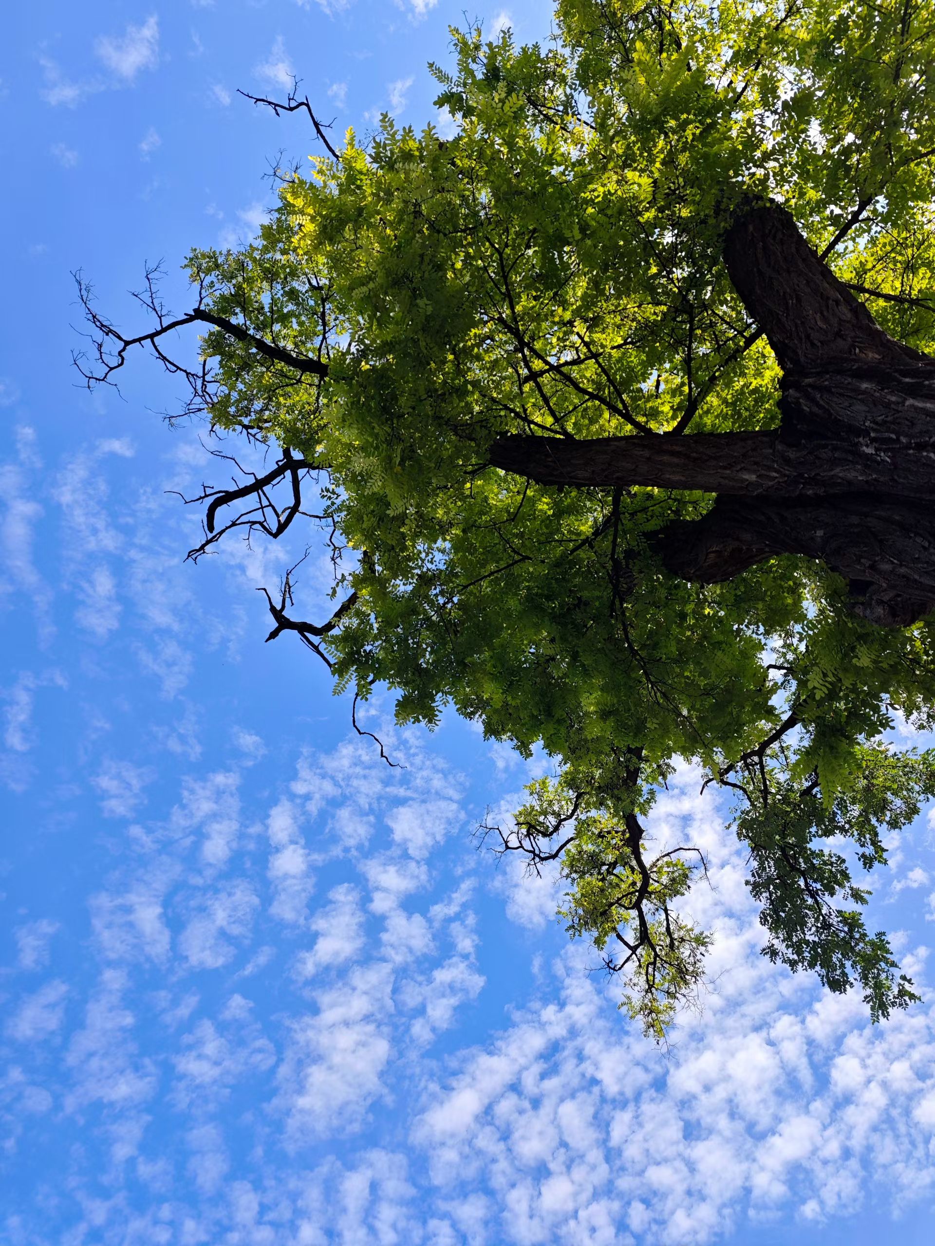 mmexport1755519498406.jpg mmexport1755519498406.jpg