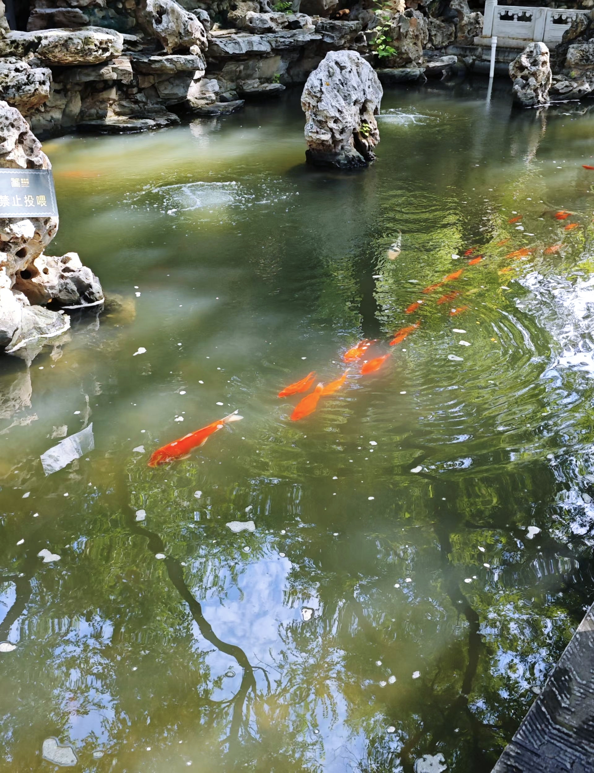 IMG_20250814_083001.jpg IMG_20250814_083001.jpg