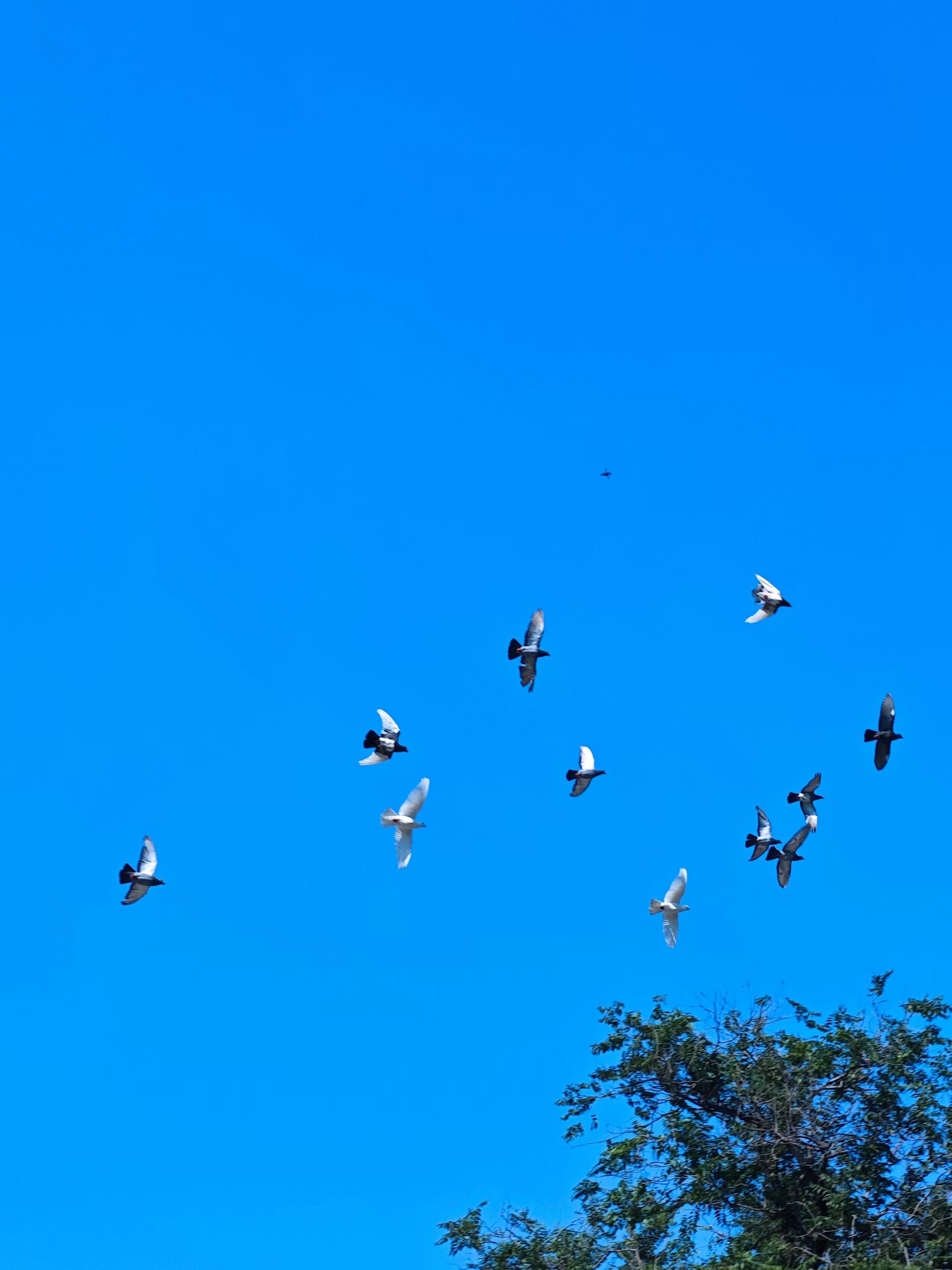 mmexport1755399118088.jpg mmexport1755399118088.jpg