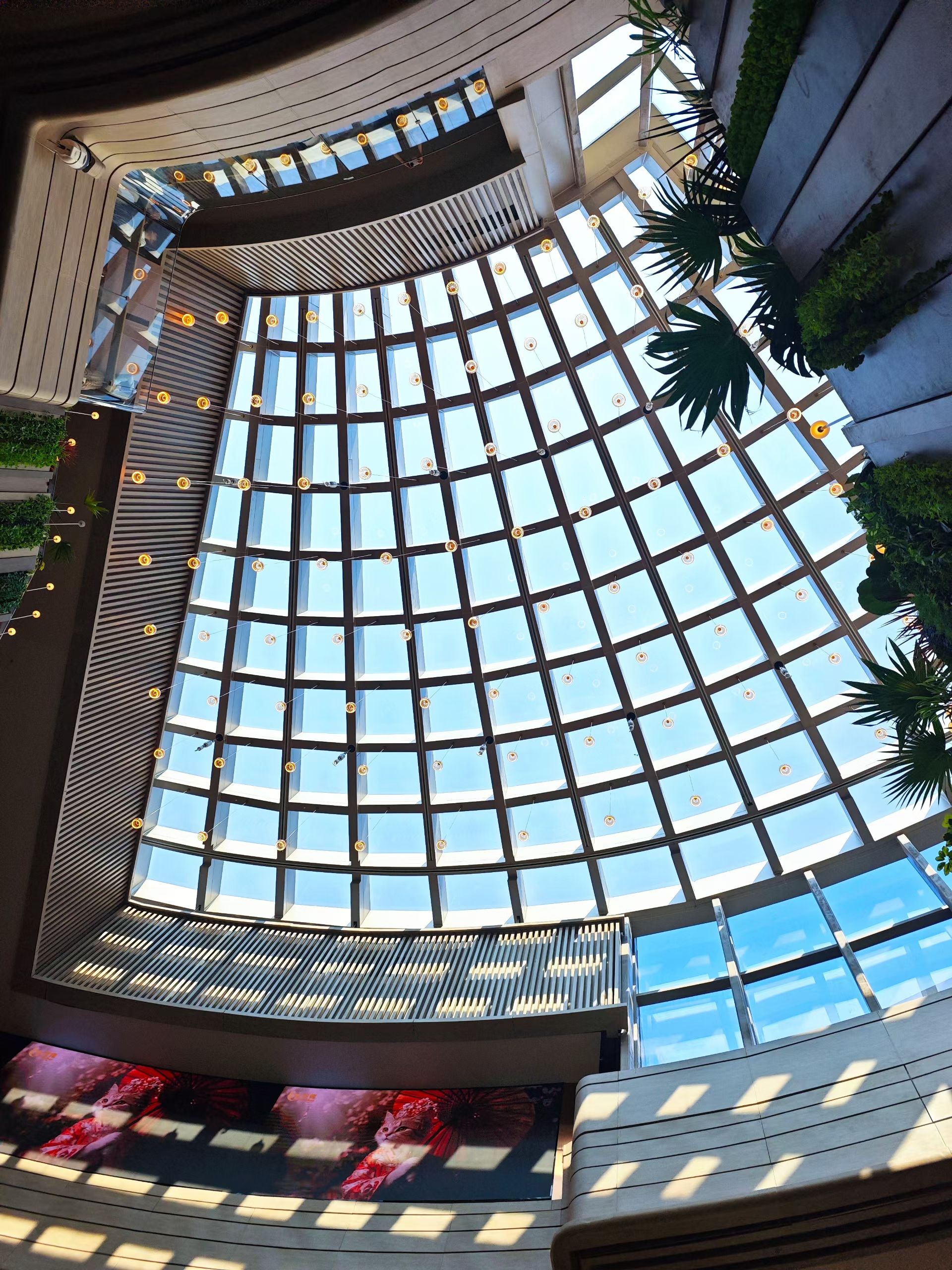 mmexport1756645555000.jpg mmexport1756645555000.jpg