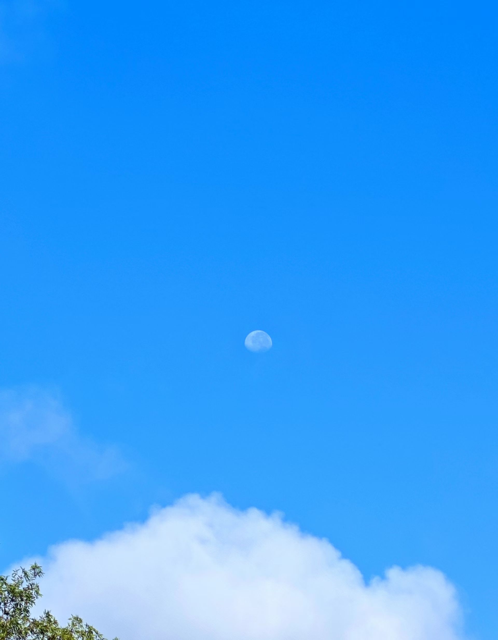 mmexport1755308843676.jpg mmexport1755308843676.jpg