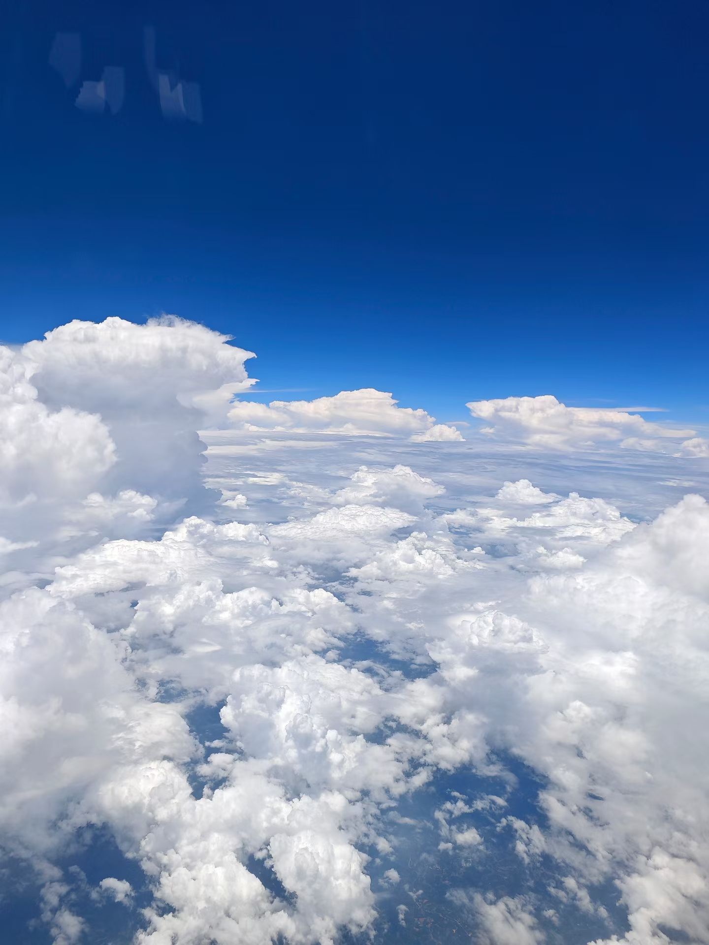 mmexport1754814144680.jpg mmexport1754814144680.jpg