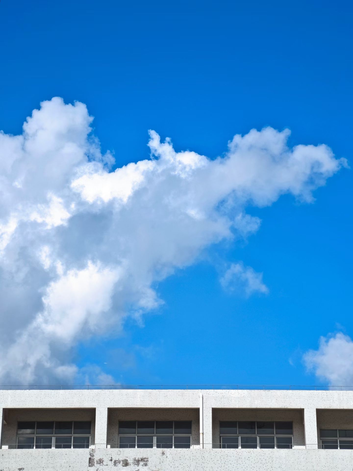 mmexport1756772643928.jpg mmexport1756772643928.jpg