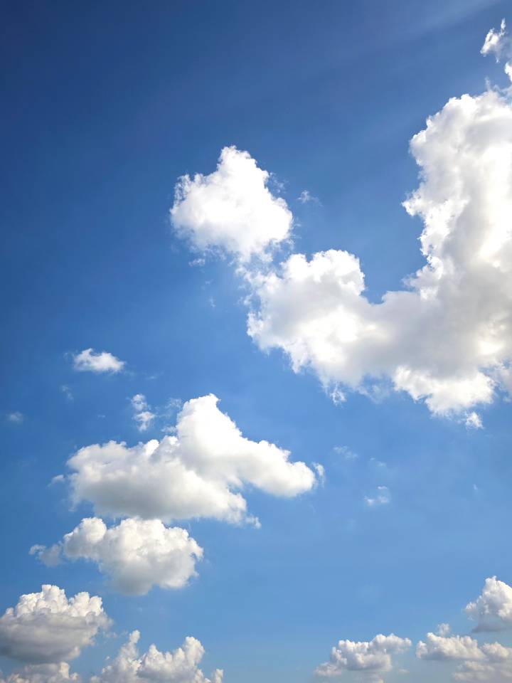 mmexport1757028162485.jpg mmexport1757028162485.jpg