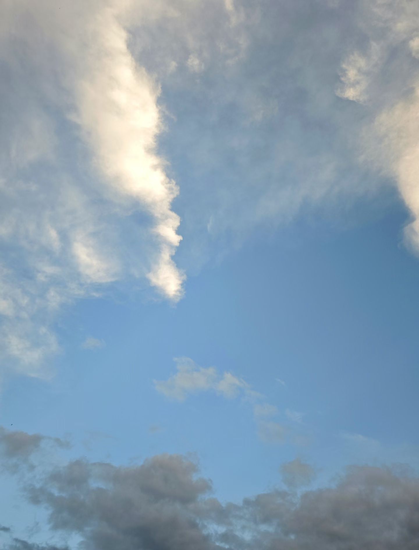 mmexport1758083195296.jpg mmexport1758083195296.jpg